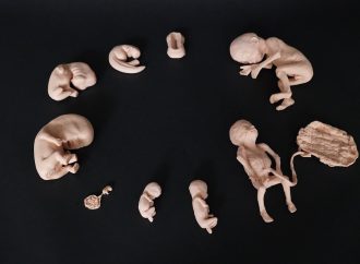 Exploring Advanced Human Embryo Replicas: Insights & Ethics