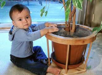 Protecting Curious Toddlers: Childproofing Houseplants Guide