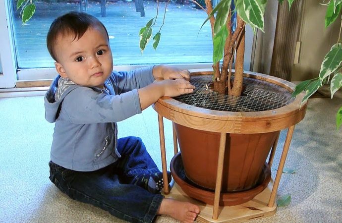 Protecting Curious Toddlers: Childproofing Houseplants Guide
