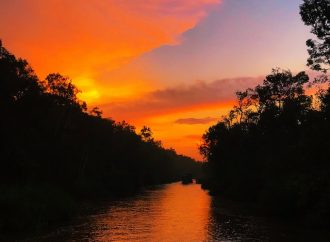 The Colorful Chemistry of Wildfire Smoke: Decoding the Orange Sky Effect