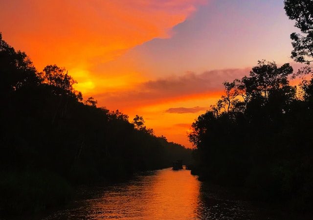 The Colorful Chemistry of Wildfire Smoke: Decoding the Orange Sky Effect