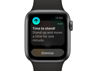 How to Turn Off Time to Stand Notifications on Apple Watch