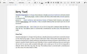 Google Docs add-ons