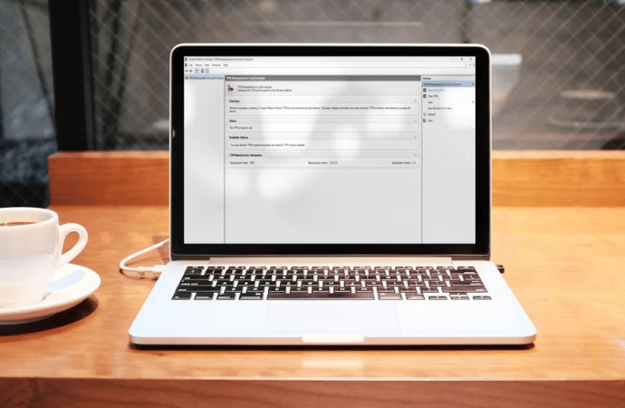 4 Ways to Clear the TPM on Windows 11 – Protecting Your PC