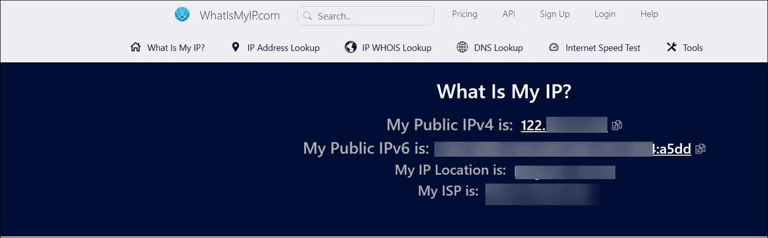 check public ip of website