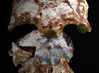 Intimate Encounters: Europe’s Oldest Humans and Their Neanderthal Connections