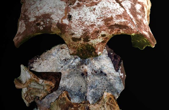 Intimate Encounters: Europe’s Oldest Humans and Their Neanderthal Connections