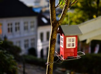 Rising Housing Market Scams: Impersonating Sellers on the Decline