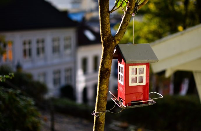 Rising Housing Market Scams: Impersonating Sellers on the Decline