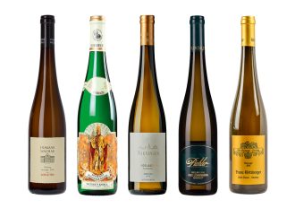 The Art of Collecting Dry Rieslings: Expert Tips