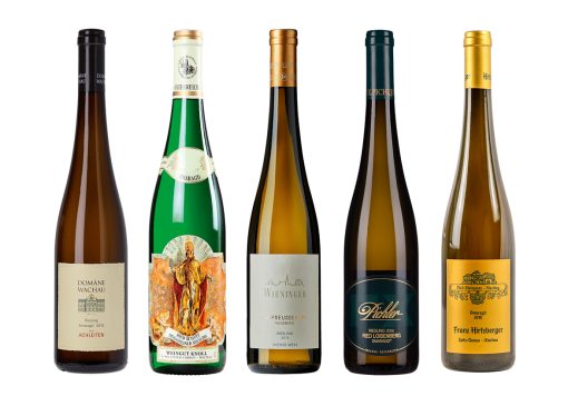 The Art of Collecting Dry Rieslings: Expert Tips