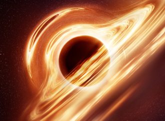 Stellar Drama: Witnessing a Star Devoured by a Black Hole and Explode