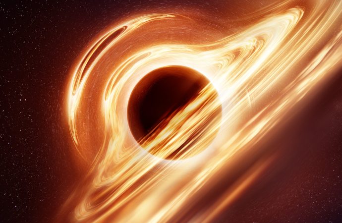 Stellar Drama: Witnessing a Star Devoured by a Black Hole and Explode