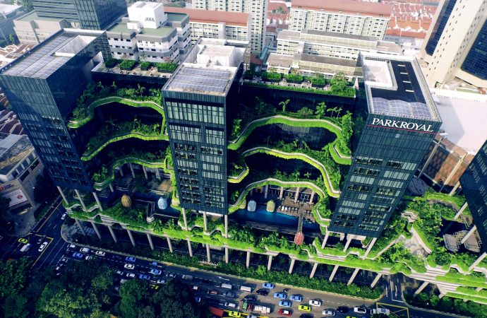 From LEED to Luxury: Green Building’s Influence in Real Estate