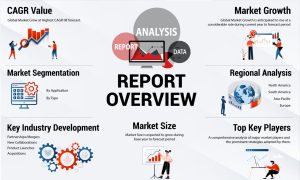 Report Overview Commercial Real Estate Software Market