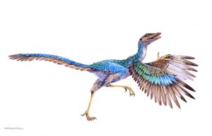 Birdlike Dinosaur