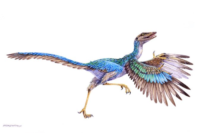 Unearthed Wonder: The Remarkably Long Legs of a Newly Discovered Birdlike Dinosaur