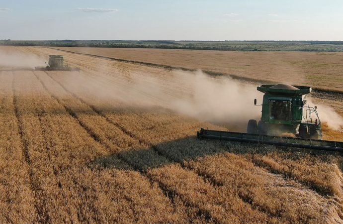 Ukraine, Poland Find Common Ground on Grain Solution; Slovakia Lifts Ban