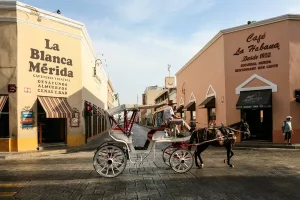 Yucatan Real Estate Boom