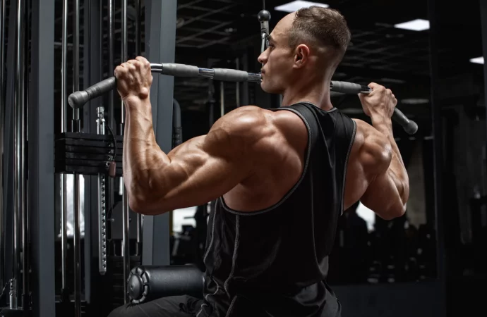 Triumph with Triceps: Arm Muscle Guide