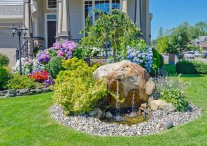 Rock Garden