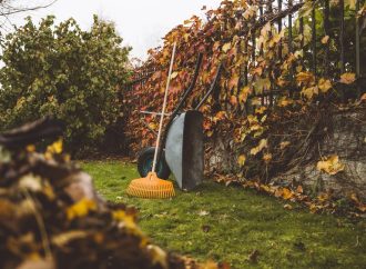 Embrace the Season: A Comprehensive Guide to Prepping Your Yard for Fall