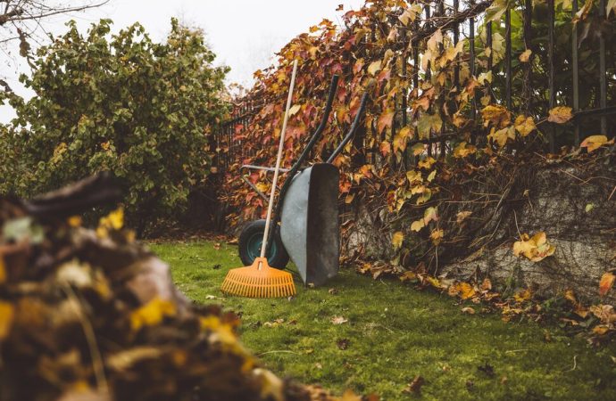 Embrace the Season: A Comprehensive Guide to Prepping Your Yard for Fall