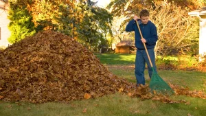 Prepare Your Lawn For Fall