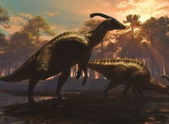 Volcanic Revelations: Rethinking the Dinosaur Extinction Puzzle