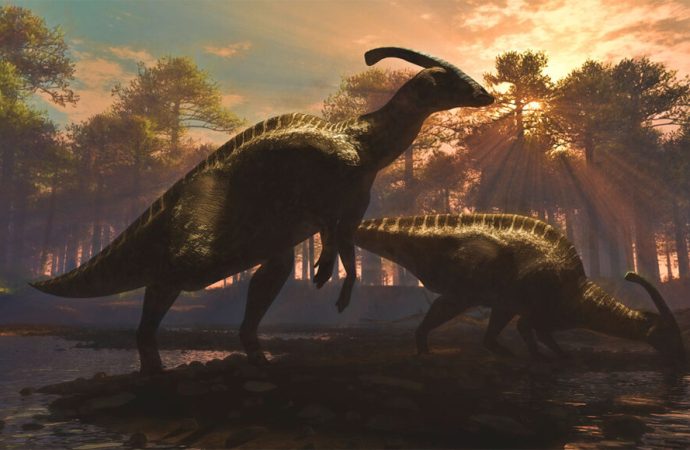 Volcanic Revelations: Rethinking the Dinosaur Extinction Puzzle