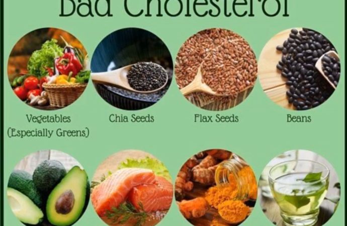 The Cholesterol-Friendly Diet: Foods Lower LDL and Boost HDL