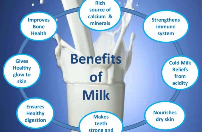 Health Benefits of Plant-Based Milk Alternatives