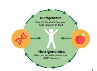 Personalized Nutrition Beyond Blood Type