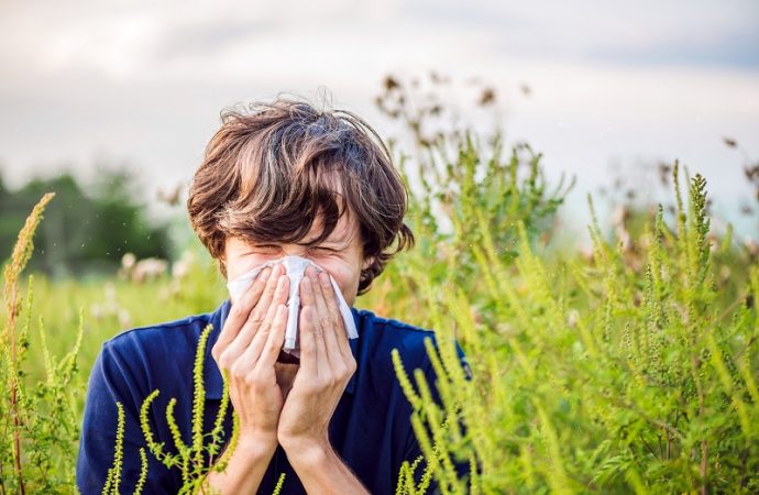 Dr. Joseph Mercola’s Natural Seasonal Allergy Relief Guide