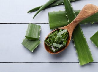 Learn to Craft Pure Aloe Vera at Home – Tips by David Winston, RH (AHG)