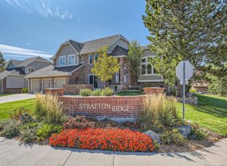 Douglas County Real Estate Market: Insights & Strategies