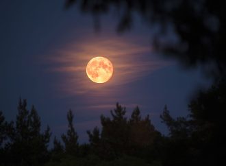 Moonlit Nights Ahead: Your 2023 Full Moon Calendar Revealed