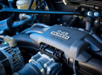 Gasoline Engines Reign in Wealthy Circles