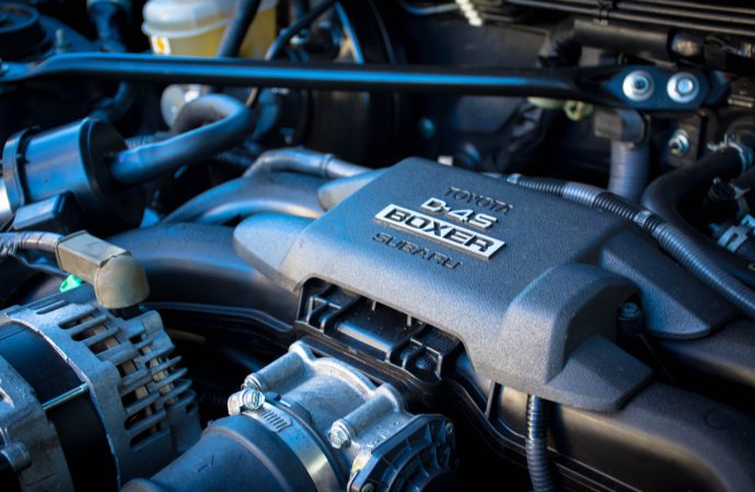 Gasoline Engines Reign in Wealthy Circles