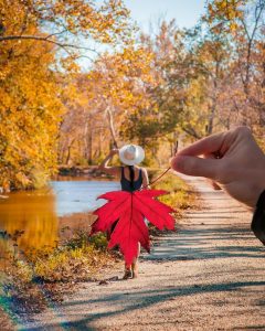 Fall Photoshoot