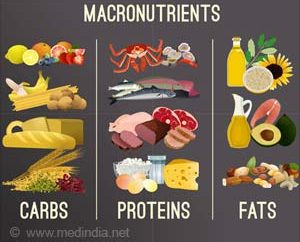 Nutritional Considerations on the Carnivore Diet