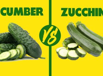 Cucumbers and Zucchinis: Cool and Refreshing Delights