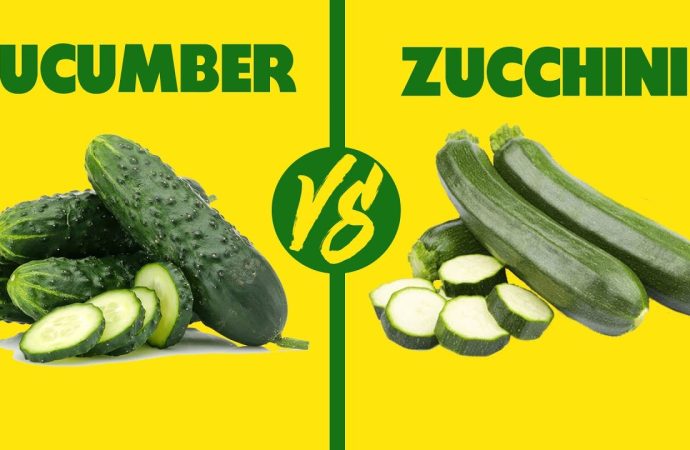 Cucumbers and Zucchinis: Cool and Refreshing Delights