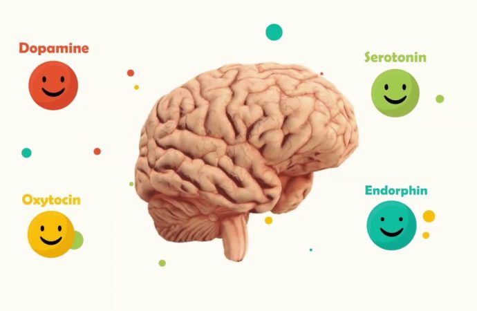 Boost Your Joy Quotient: Hacking Happy Brain Chemicals