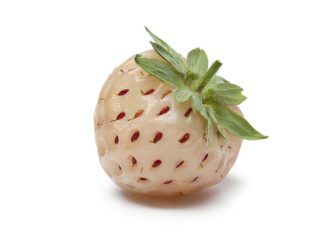 Pineberries and Your Health: A Sweet Path to Wellness