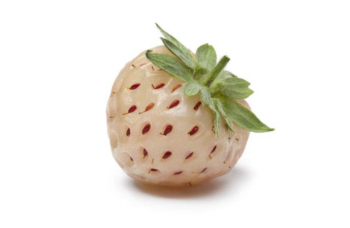 Pineberries and Your Health: A Sweet Path to Wellness