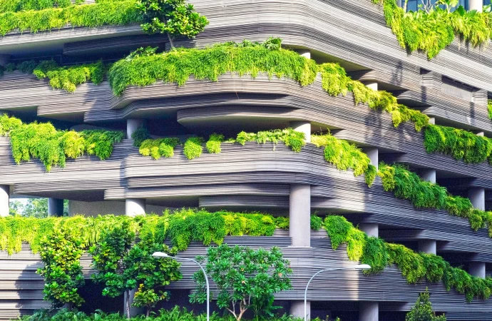 Real Estate Market Shifts Towards Sustainability, According to Report