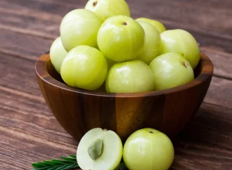 Nourish in Winter: Unlocking Wellness with Daily Amla – Insights from Dr. Rhonda Patrick