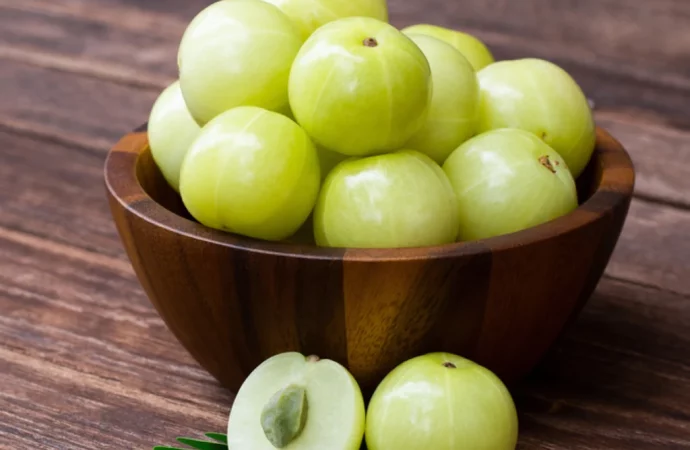 Nourish in Winter: Unlocking Wellness with Daily Amla – Insights from Dr. Rhonda Patrick