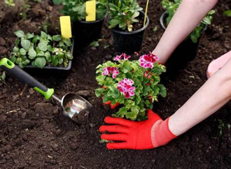 Unlock Vitality Through Gardening 5 Proven Ways